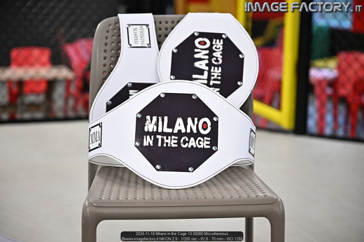 2024-11-16 Milano in the Cage 13 00060 Miscellaneous